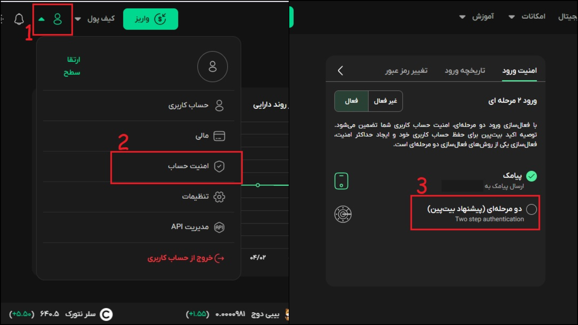 ورود دو مرحله ای بیت پین