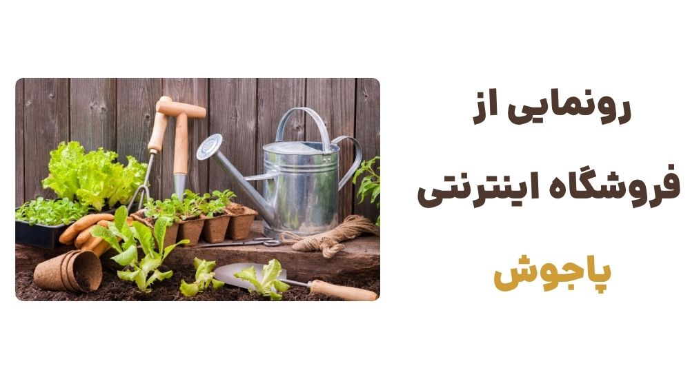 رونمایی از فروشگاه اینترنتی پاجوش