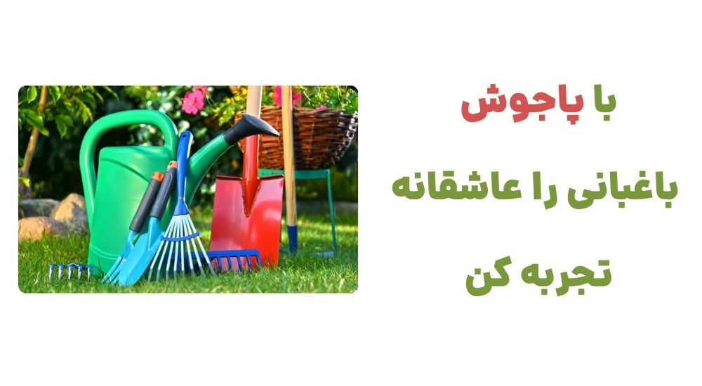 با پاجوش، باغبانی را عاشقانه تجربه کن