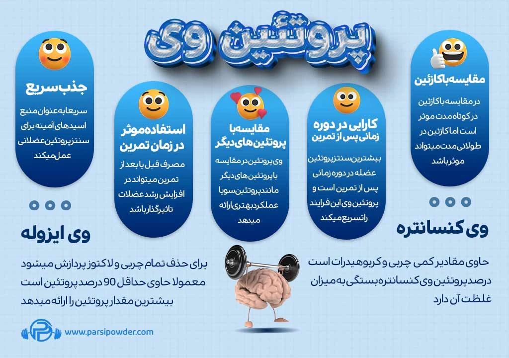 پروتئین وی و رشد عضلات