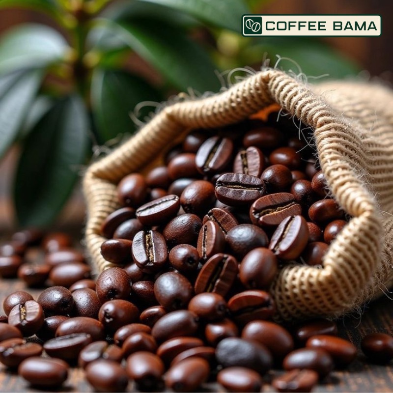 سوالات متداول درباره خرید قهوه اصل و تازه