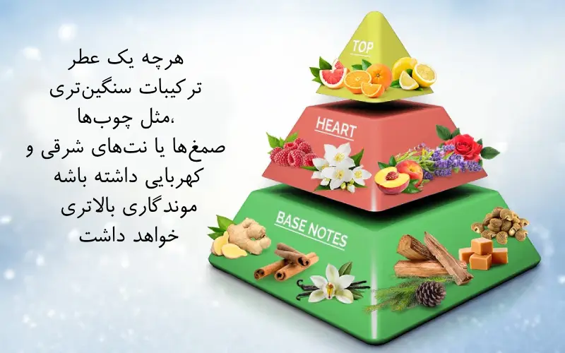 راز ماندگاری بالا در بعضی ادکلن‌ها چیه؟