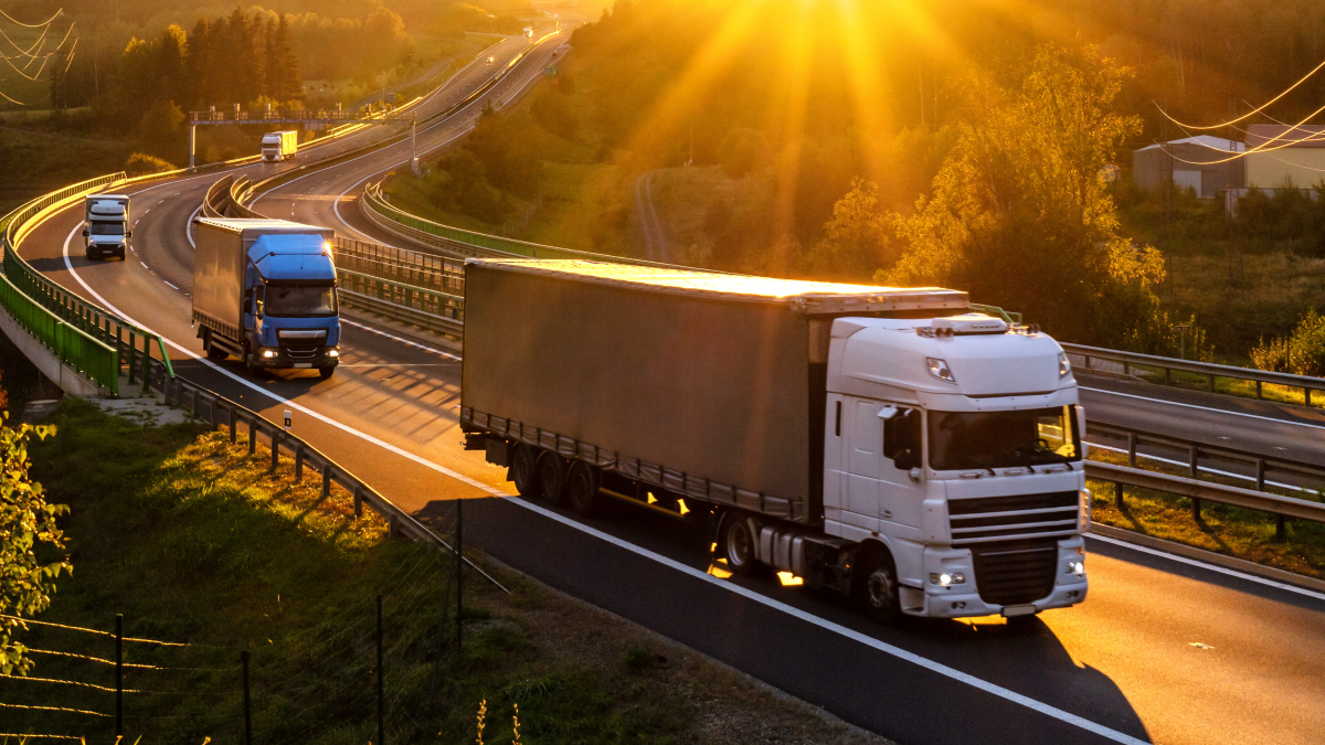 tsayOwvBYNAPmZtonu7vtgXE9eECHn8mXJ7XIEDT