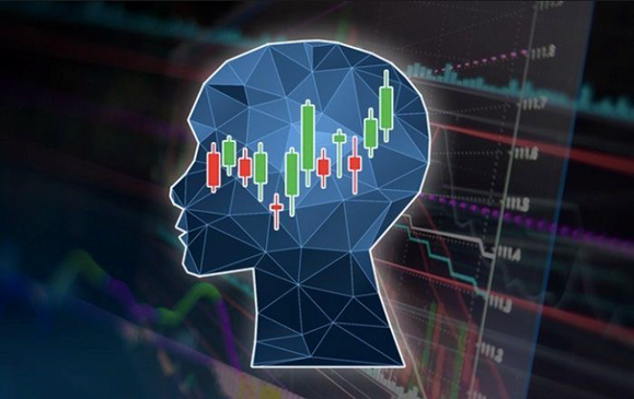 مبانی و اصطلاحات تخصصی را بیاموزید