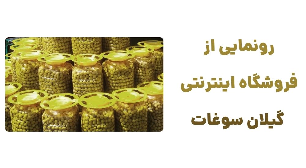 رونمایی از فروشگاه اینترنتی گیلان سوغات