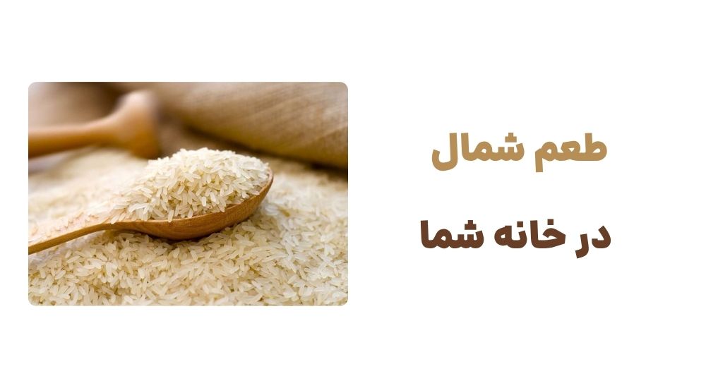 طعم شمال، در خانه شما