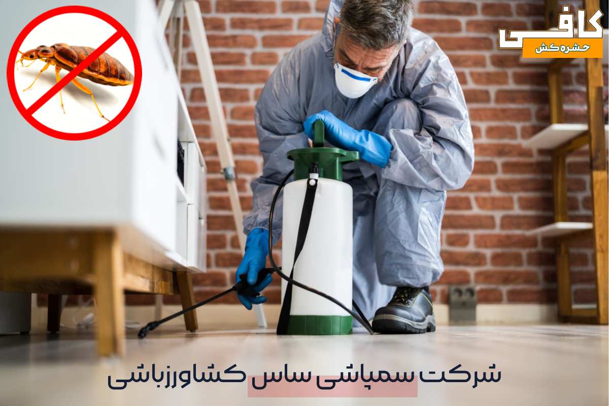 علائم ساس در منزل چیست؟ + بهترین سم ساس (طبق تجربه خریداران) 6