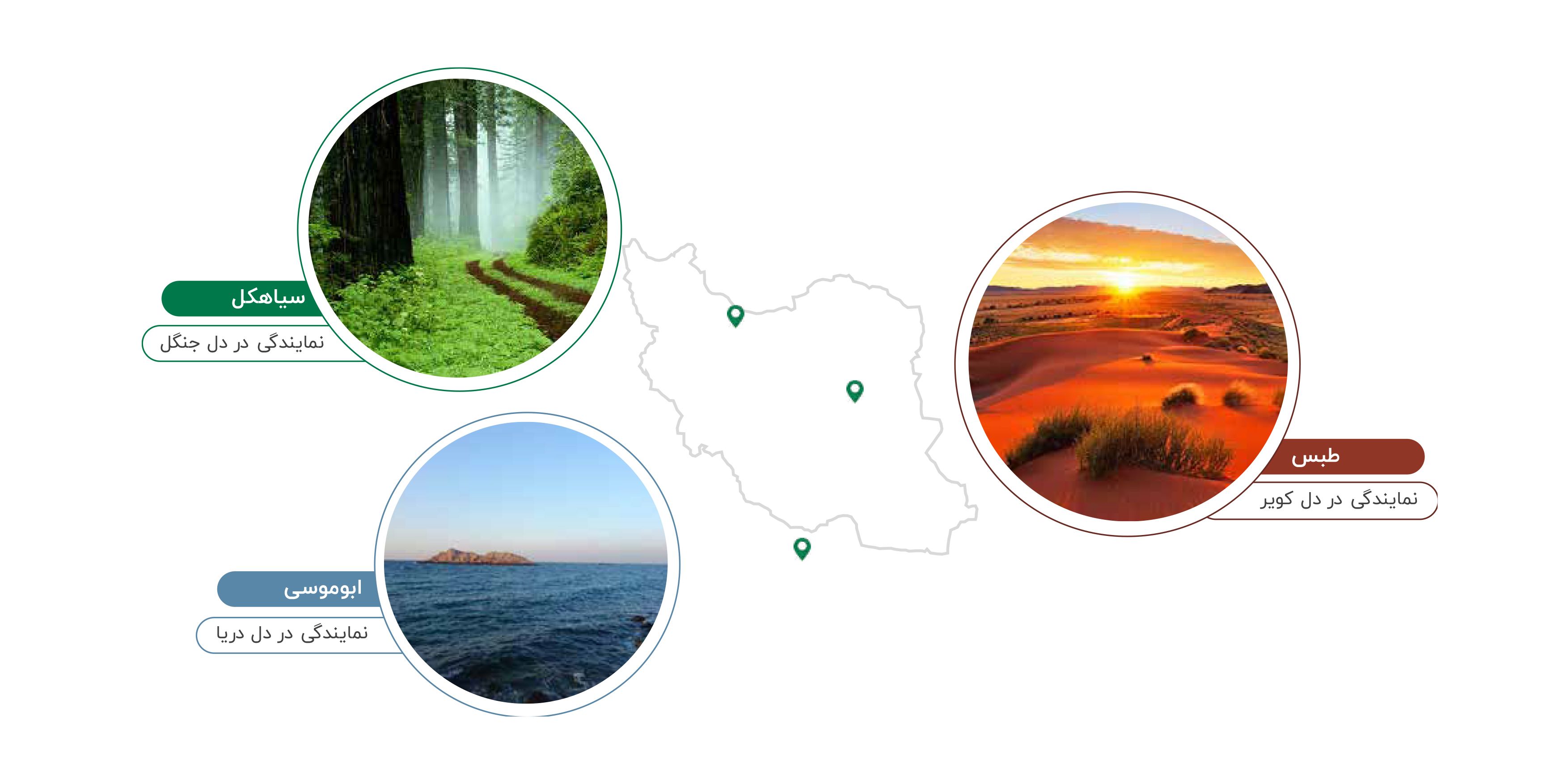 گزارش تیپاکس