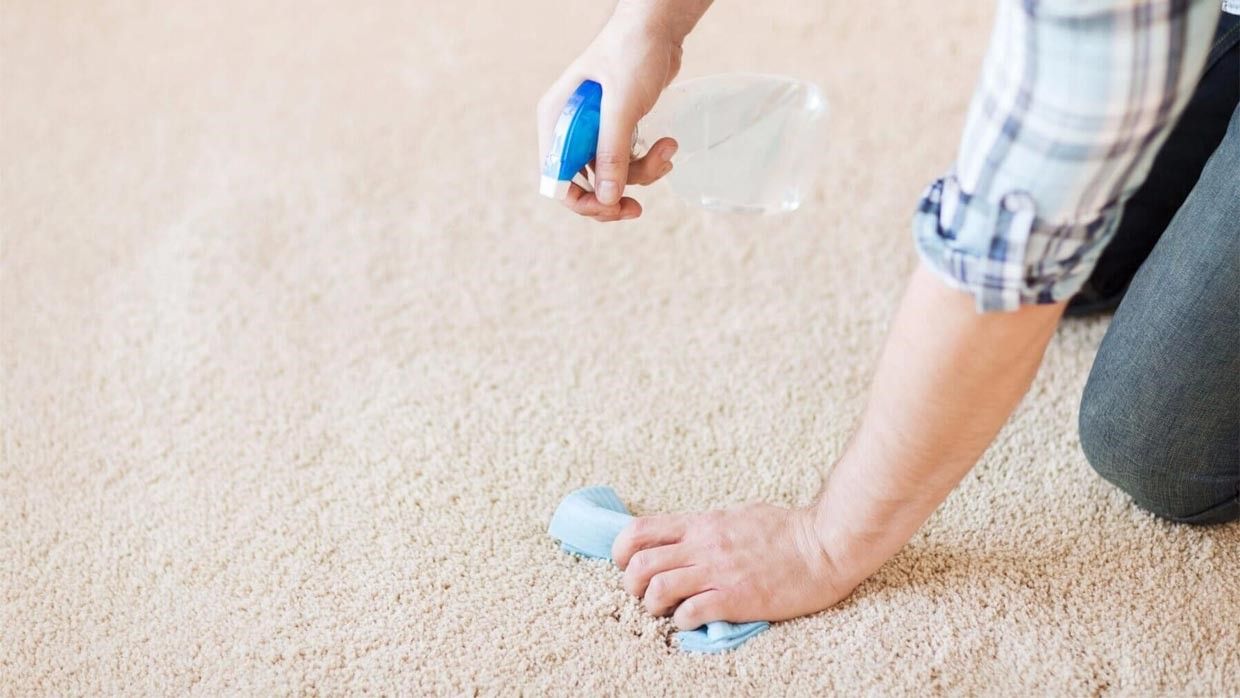 شستن لکه شیر از روی فرش