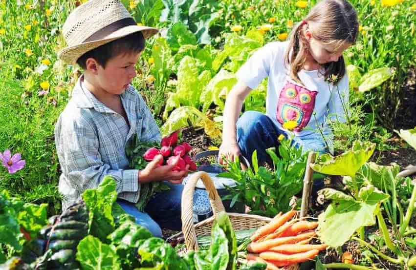 gardening for students and kids