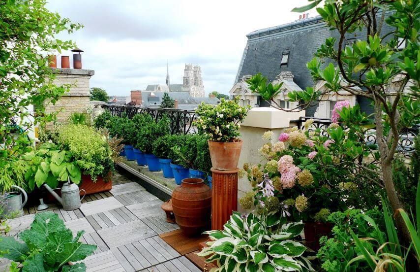 انواع باغبانی شهری