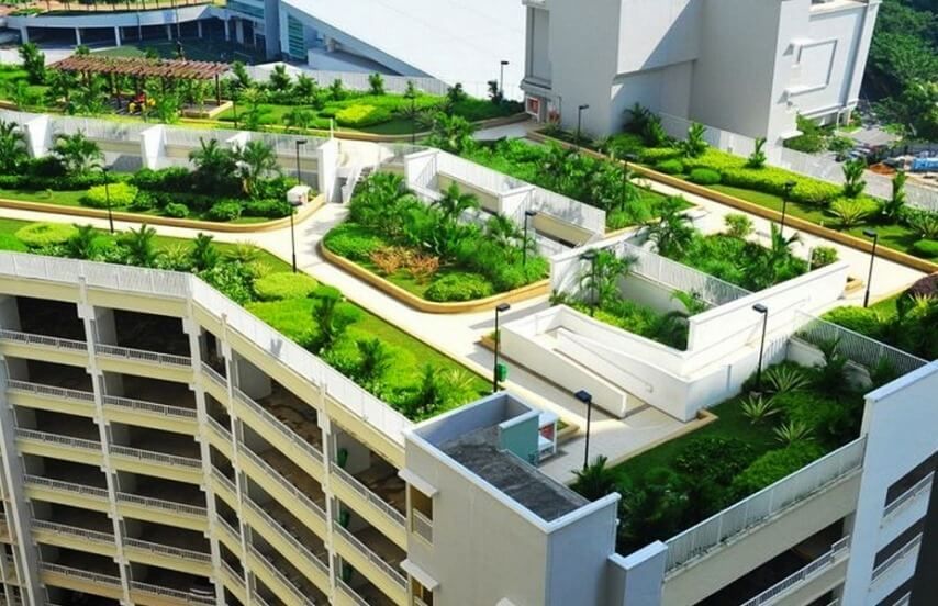 انواع باغبانی روی پشت بام