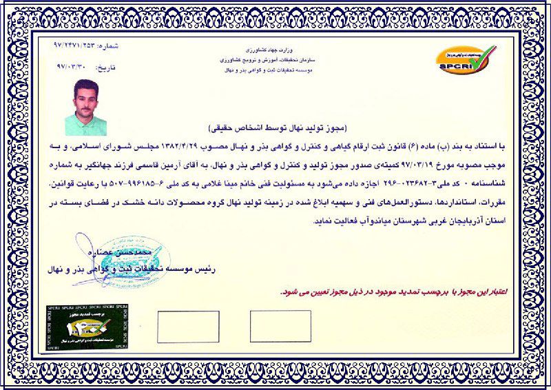 آخرین فرصت خرید نهال گردو با تخفیف ویژه در اسفند ۱۴۰۰