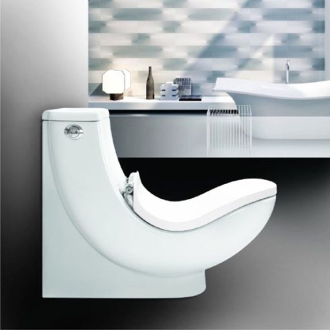 نحوه استفاده از توالت فرنگی و مشکلات گوارشی و بیماری های روده به نقل از آی بس