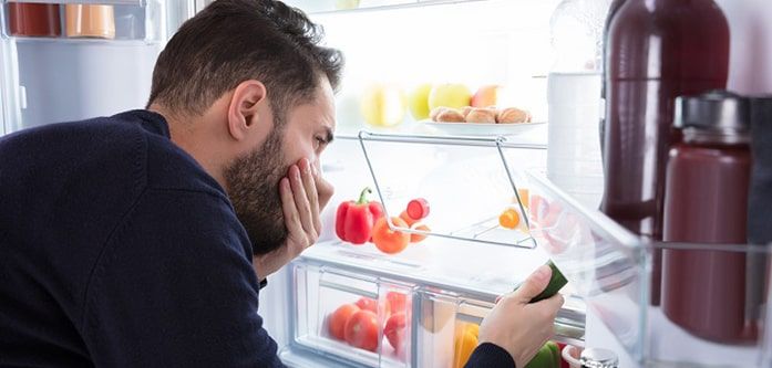 چرا مواد غذایی در یخچال کپک می زند