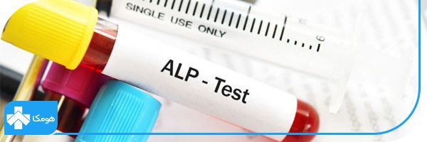 alkaline phosphatase چیست