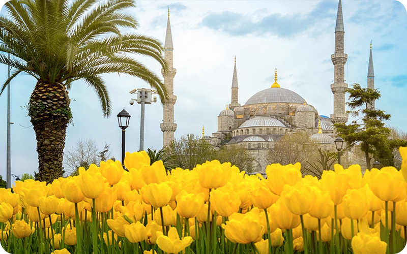 معروف ترین جشنواره های تابستانی استانبول