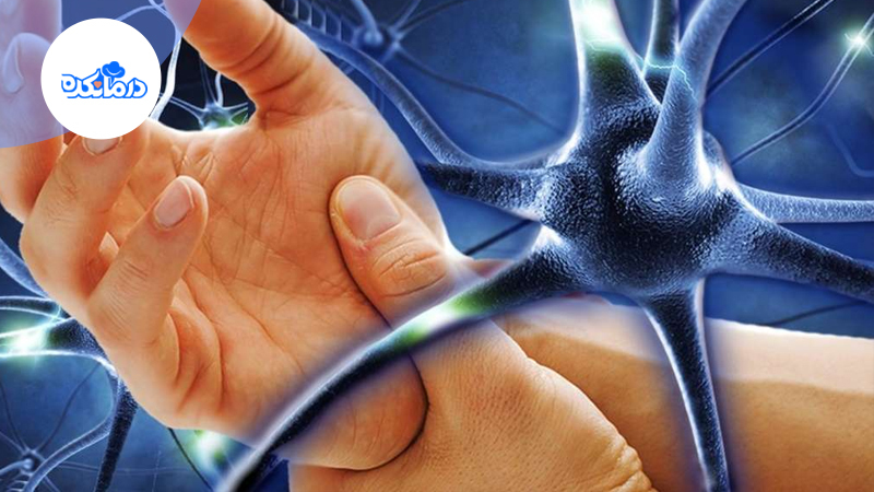 نمایی از ساختار بافت عصبی دست