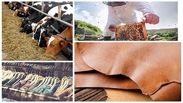 کاربردهای اسید فرمیک