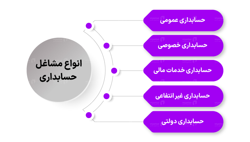 شاخه های حسابداری محاسبان