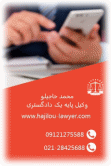 hajilouu-lawyer-insta.jpg
