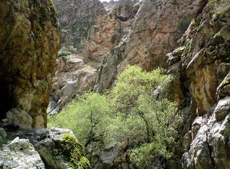 اجاره روزانه خانه در تهران