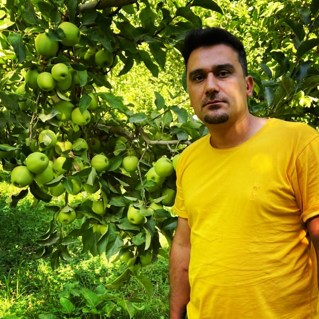چند نکته کلیدی برای احداث باغ تجاری سیب