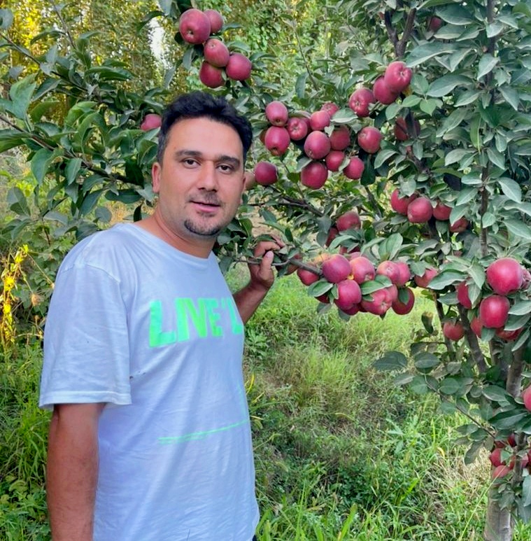 چند نکته کلیدی برای احداث باغ تجاری سیب 2