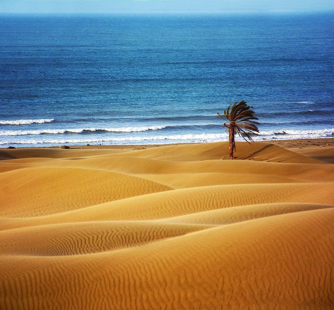 سفر 10 روزه به چابهار و کیش!