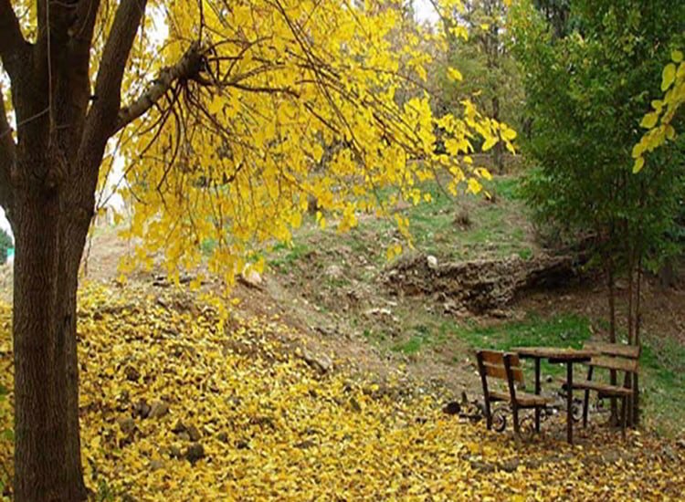 اجاره روزانه خانه در تهران