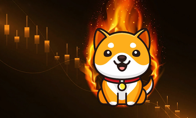 بیبی دوج چیست؟