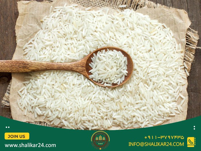 چطور برنج باسماتی بخریم