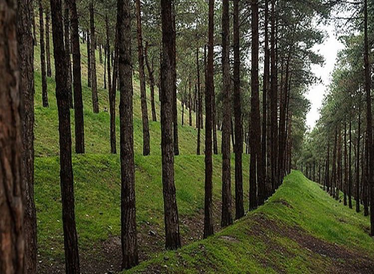 اجاره روزانه خانه در تهران