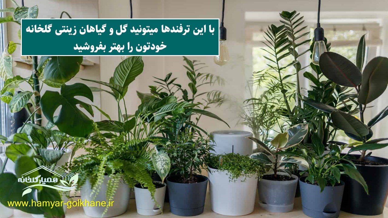 بازاریابی محتوایی