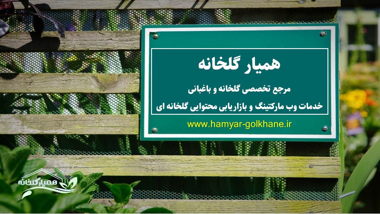 استراتژی های بازاریابی محتوایی
