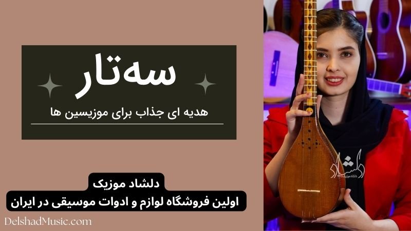 سه تار-دلشاد موزیک