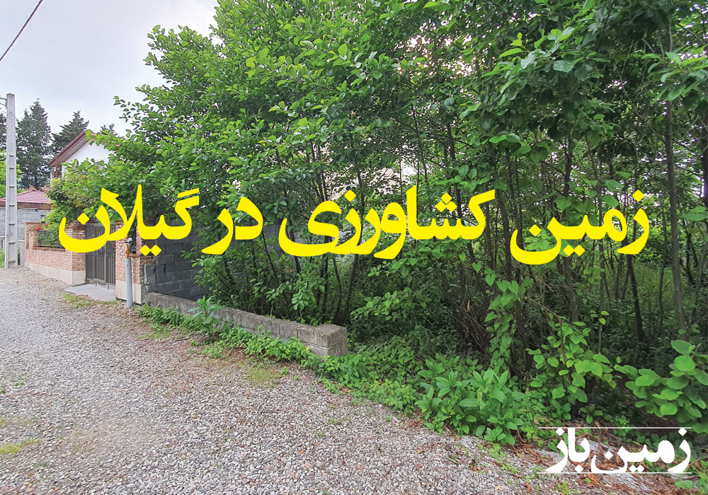 فروش زمین کشاورزی در گیلان