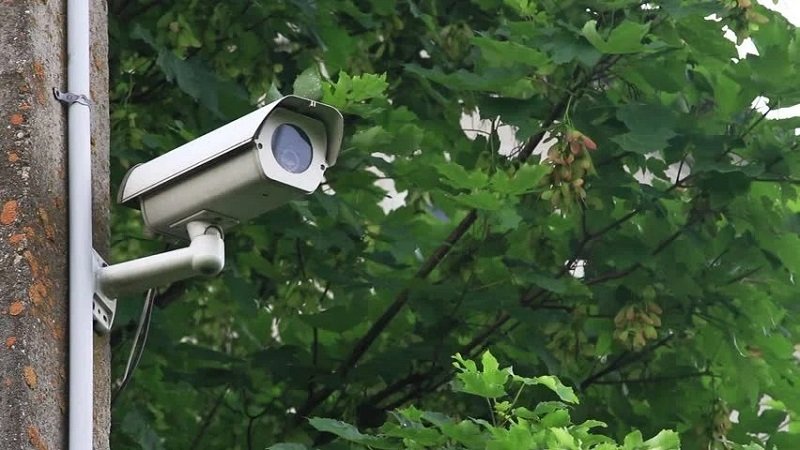 دوربین برای باغ