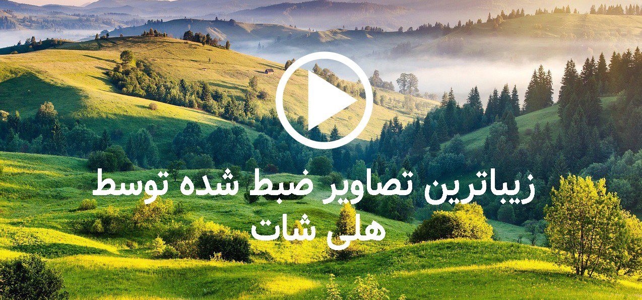  انواع هلی شات: انتخاب بسته به نیاز خود