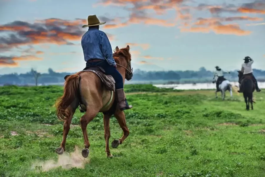 سوارکاری حرفه ای | ارتباط با اسب از مهم ترین عوامل اسب سواری حرفه ای است