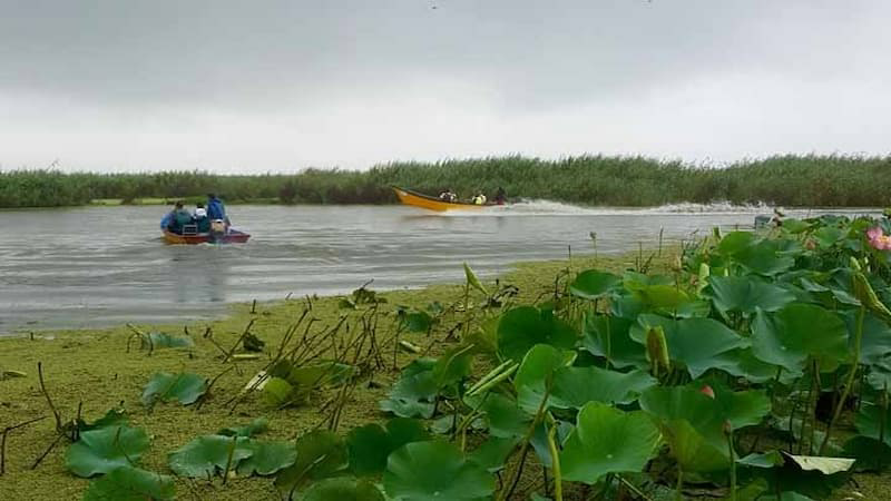 راهنمایی برای بازدید از جاهای دیدنی بندر انزلی