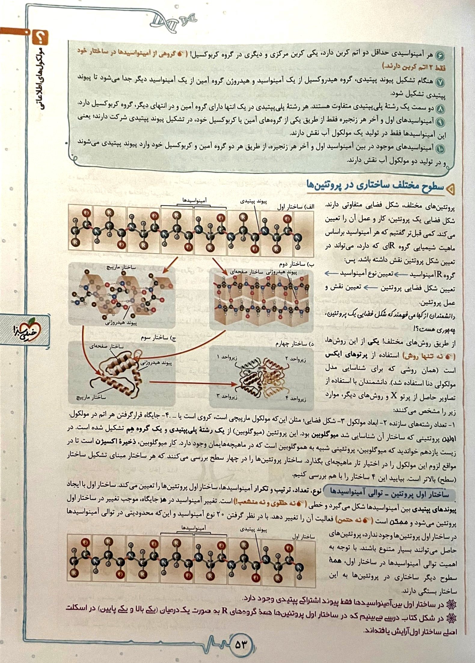 بررسی کتاب زیست‌شناسی دوازدهم از انتشارات خیلی سبز