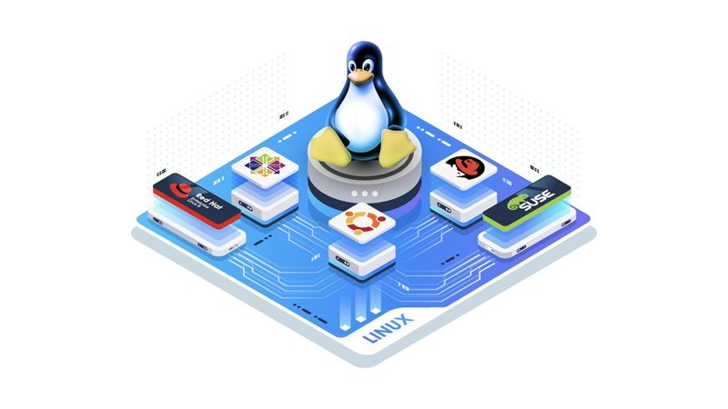 استخدام متخصص لینوکس