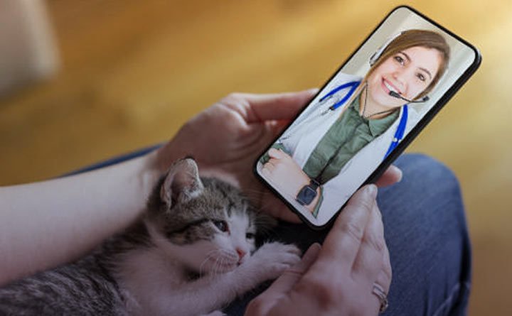 مشاوره تلفنی با دامپزشک