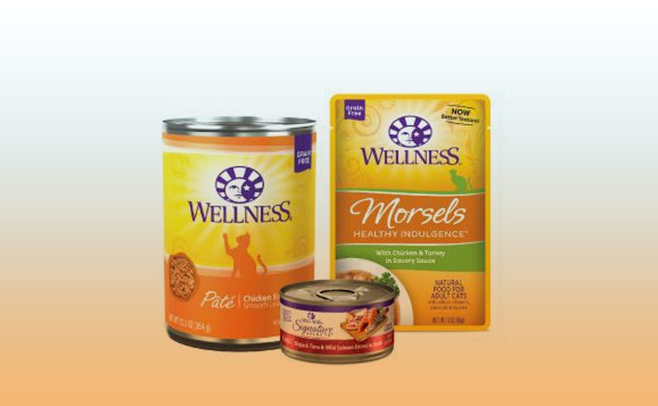 خرید غذای کنسروی سگ