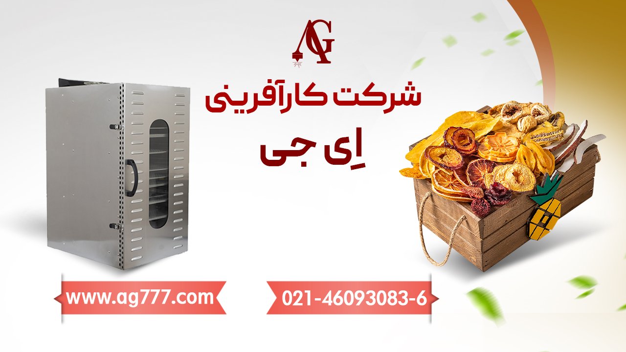 معرفی دستگاه خشک کن میوه AG