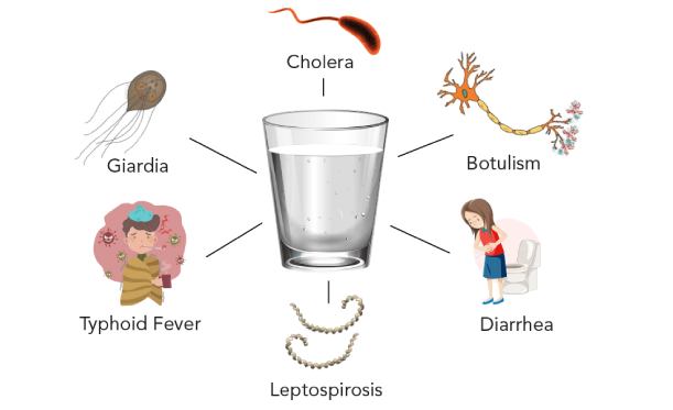 انواع بیماری های عفونی ناشی از مصرف آب آلوده