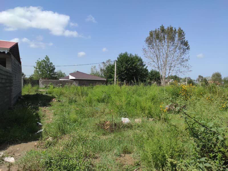 زمین ساحلی در زیباکنار