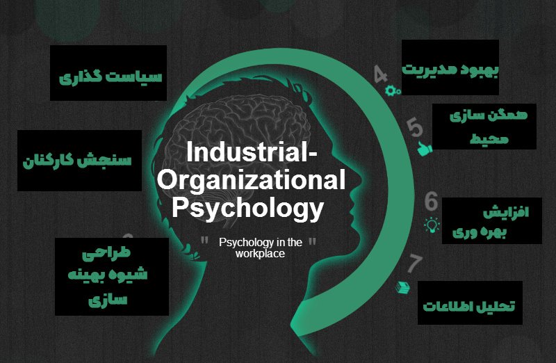 رشته روانشناسی صنعتی و سازمانی چیست؟ (+برسی بازار کار)