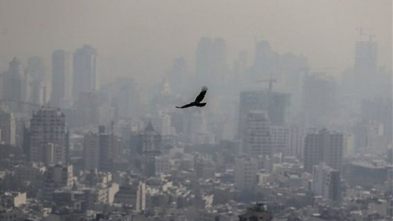 آلودگی هوا شهر - بیورر ایران آرمین درمان